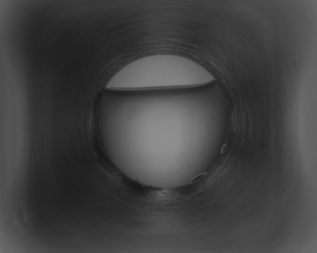 X0000101160092200806270742