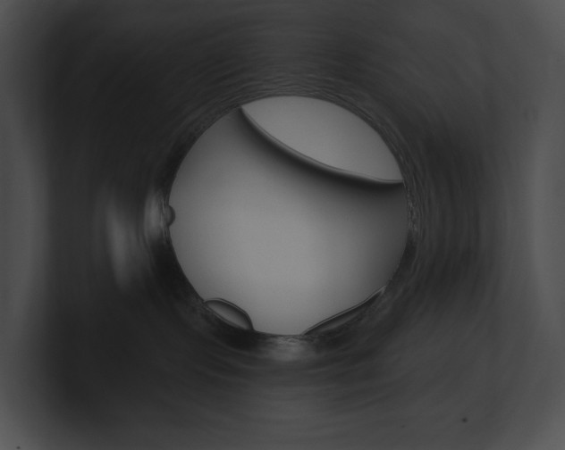 X0000101160095200806270742