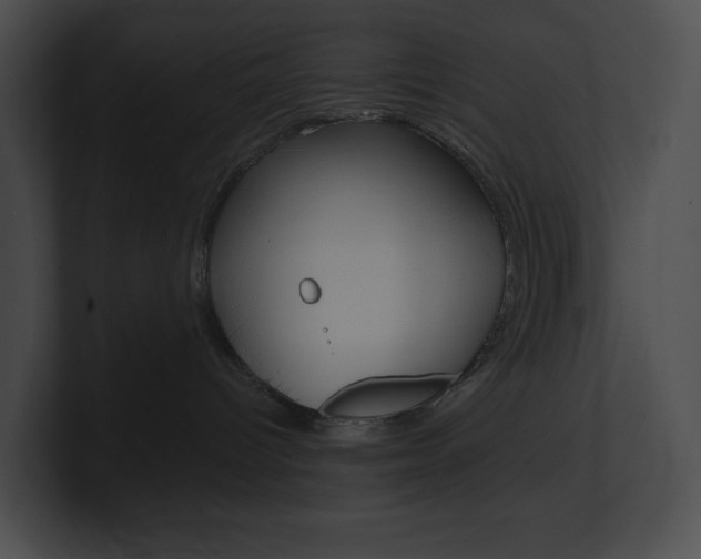 X0000101160096200806270742