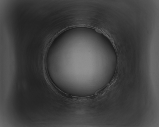 X0000101160097200806270741