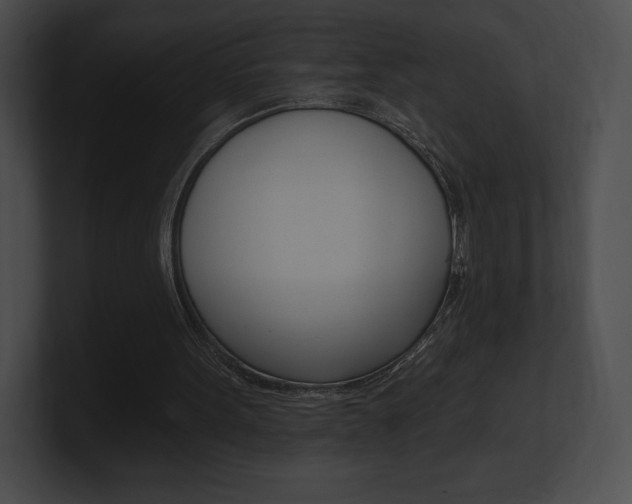 X0000101160099200806270741