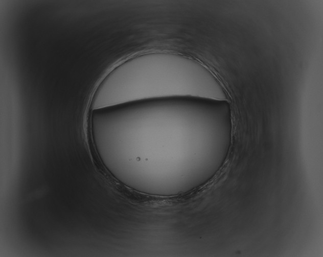 X0000101160100200806270741