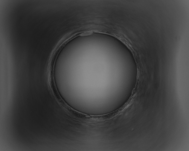X0000101160101200806270741