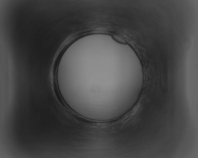 X0000101160102200806270741