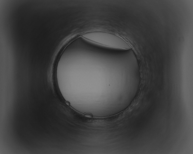 X0000101160104200806270741