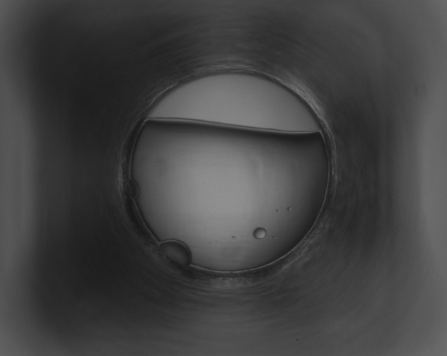 X0000101160105200806270741