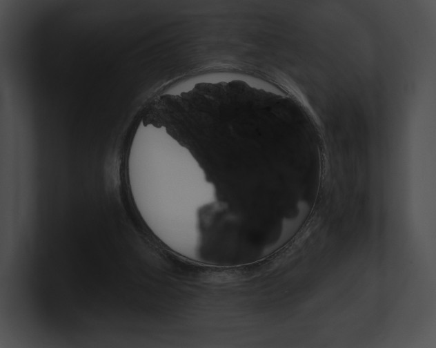 X0000101160106200806270741