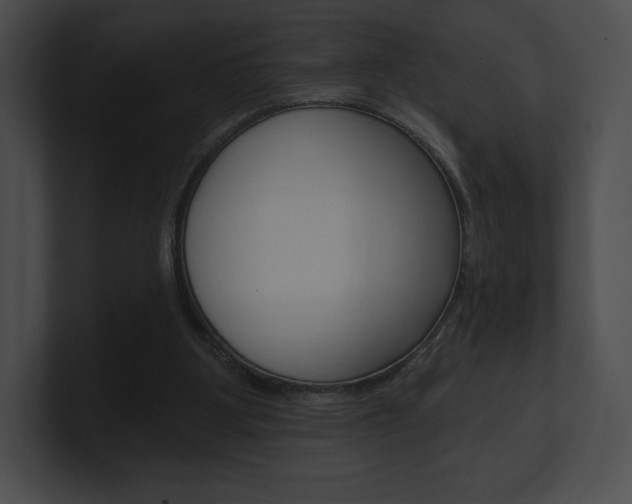 X0000101160107200806270741