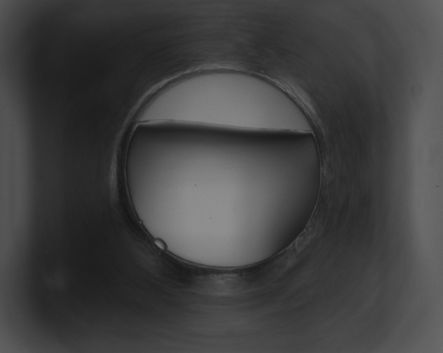 X0000101160108200806270741