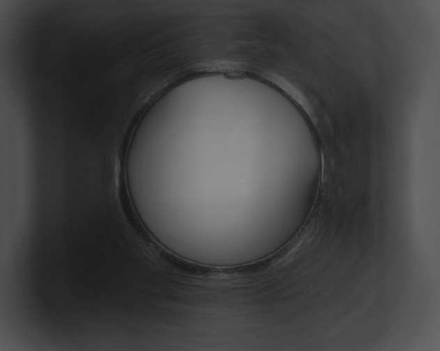 X0000101160109200806270741