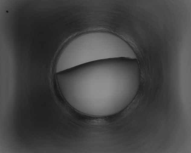 X0000101160112200806270741