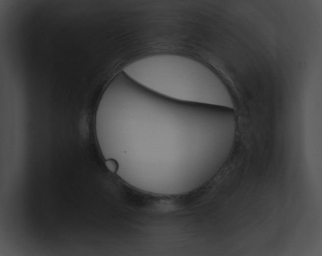 X0000101160114200806270741