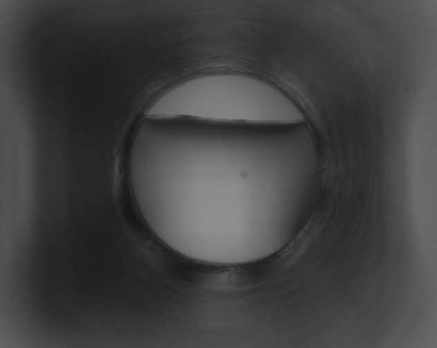 X0000101160116200806270741
