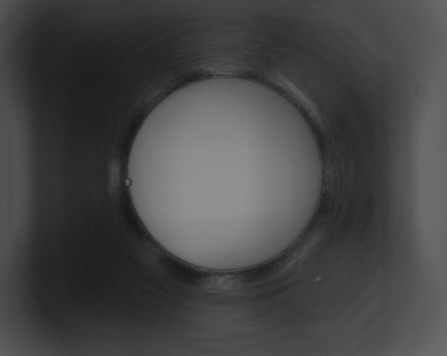 X0000101160117200806270741