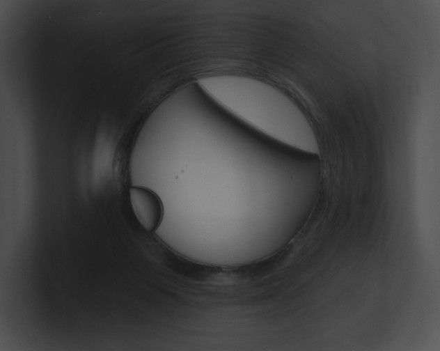 X0000101160119200806270741