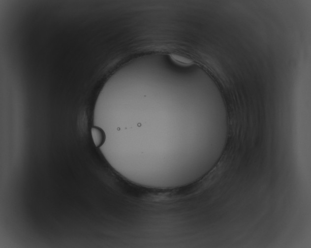 X0000101160120200806270741