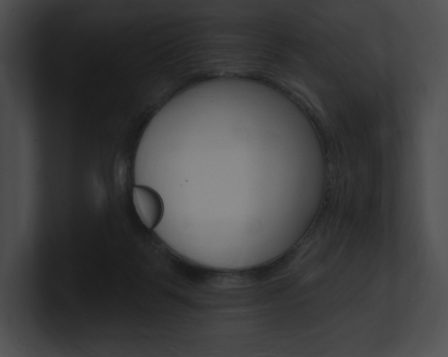 X0000101160123200806270741