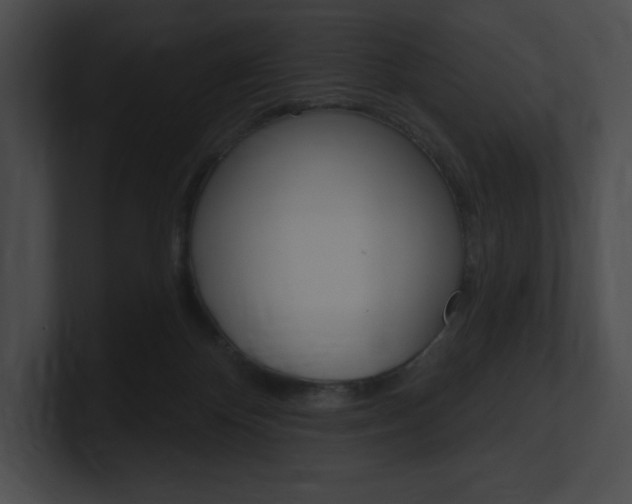 X0000101160124200806270741