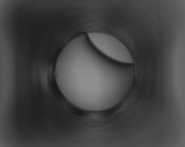 X0000101160127200806270741