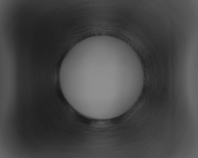 X0000101160129200806270741