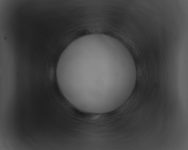 X0000101160130200806270741