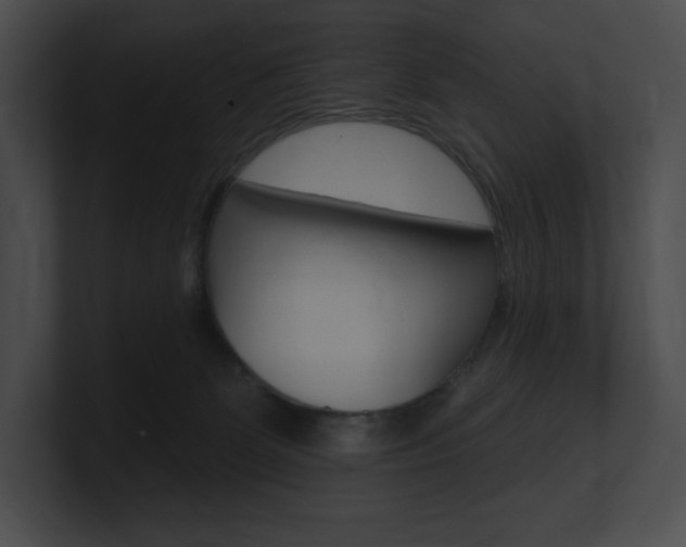 X0000101160131200806270741
