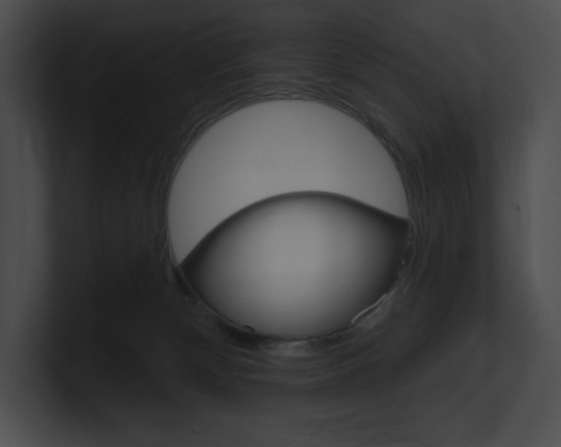 X0000101160132200806270741