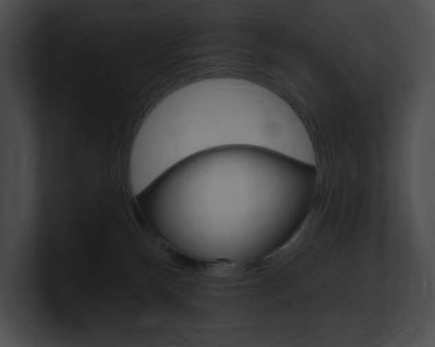 X0000101160136200806270741