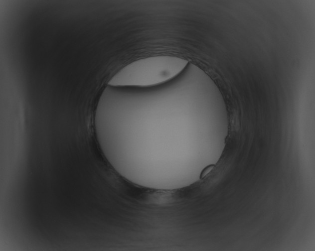X0000101160138200806270741