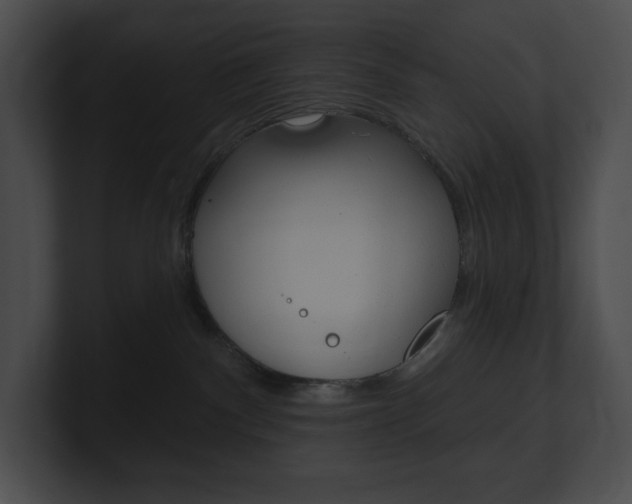 X0000101160140200806270740