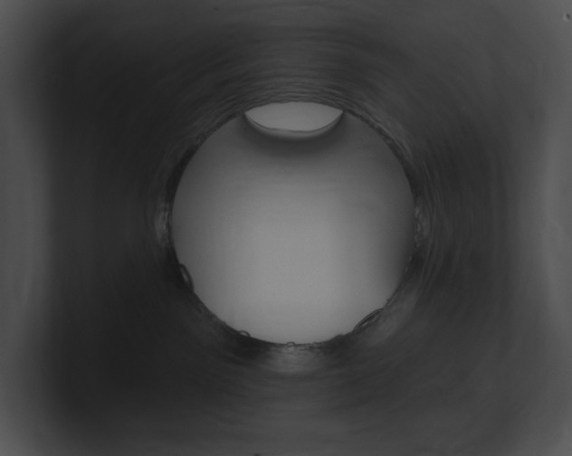 X0000101160141200806270740