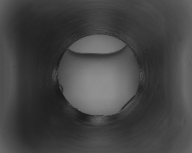 X0000101160142200806270740