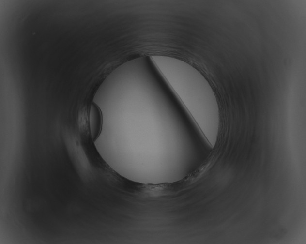 X0000101160143200806270740