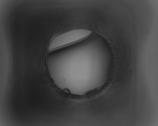 X0000101160144200806270740
