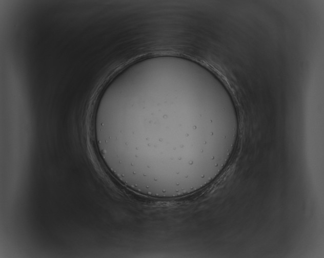 X0000101160145200806270740
