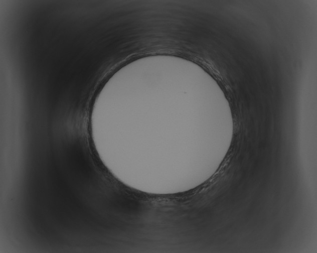 X0000101160146200806270740