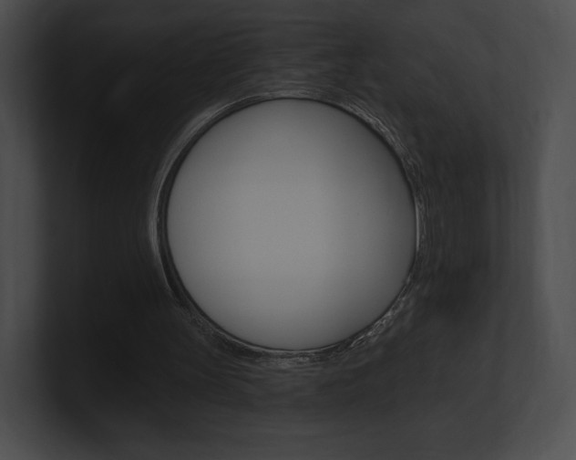 X0000101160147200806270740