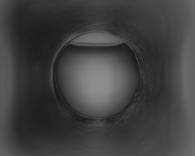 X0000101160148200806270740