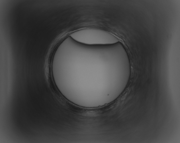 X0000101160149200806270740