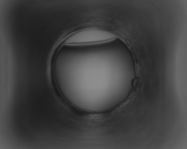 X0000101160150200806270740
