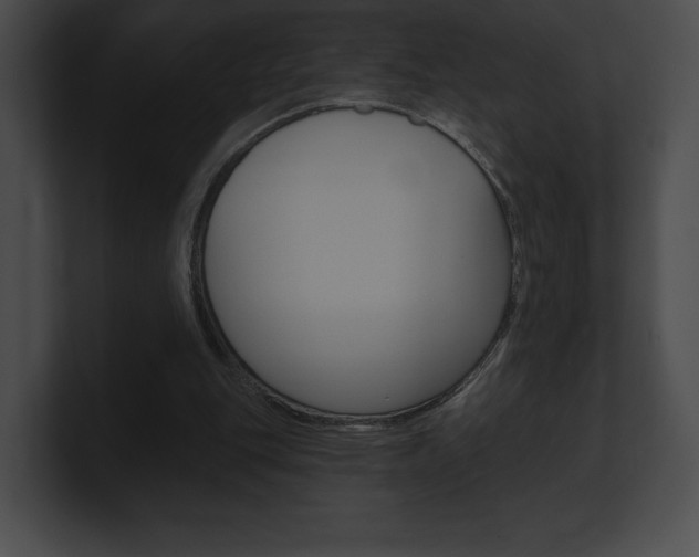 X0000101160151200806270740