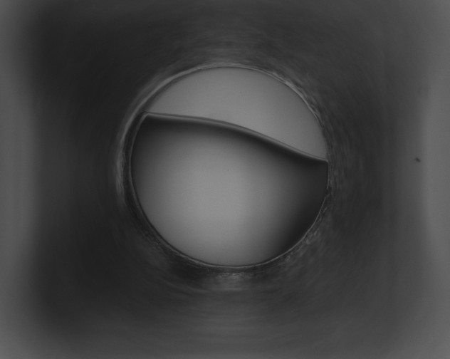 X0000101160152200806270740