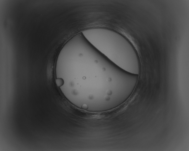 X0000101160153200806270740