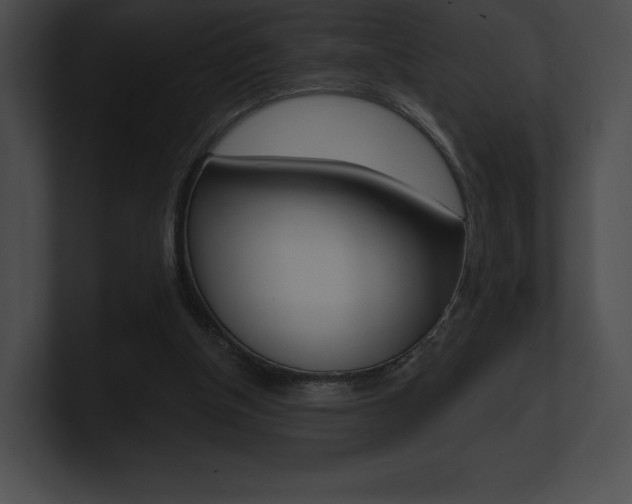X0000101160154200806270740