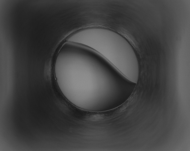 X0000101160156200806270740