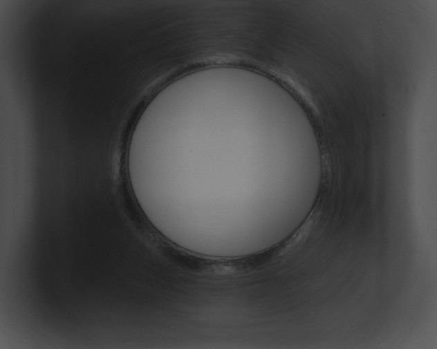 X0000101160159200806270740