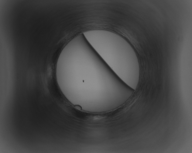 X0000101160165200806270740