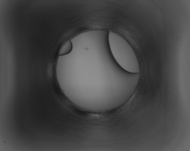 X0000101160167200806270740
