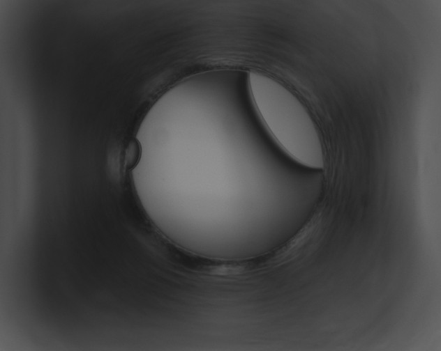 X0000101160168200806270740