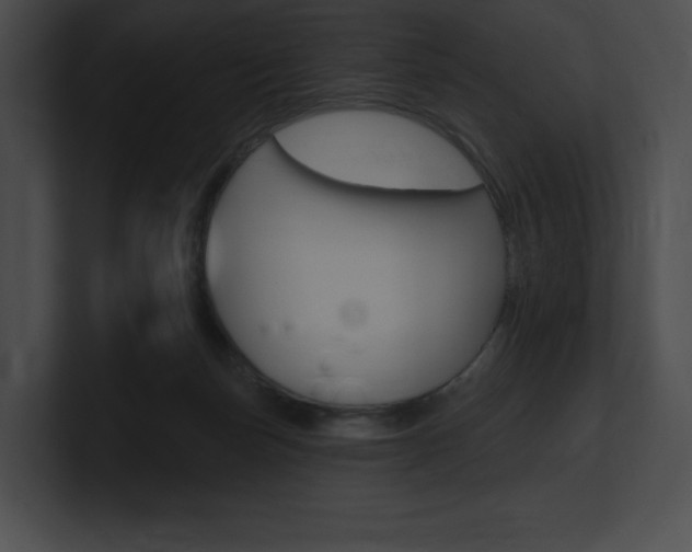 X0000101160171200806270740